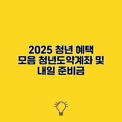 2025 청년 혜택 모음 청년도약계좌 및 내일 준비금