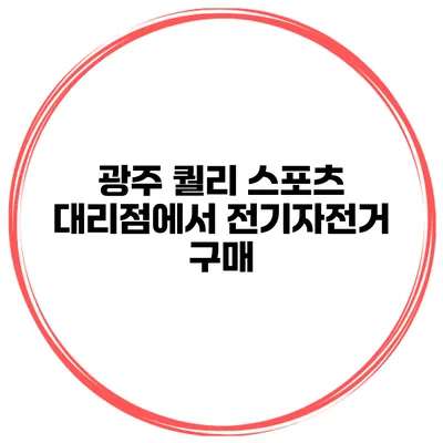 광주 퀄리 스포츠 대리점에서 전기자전거 구매