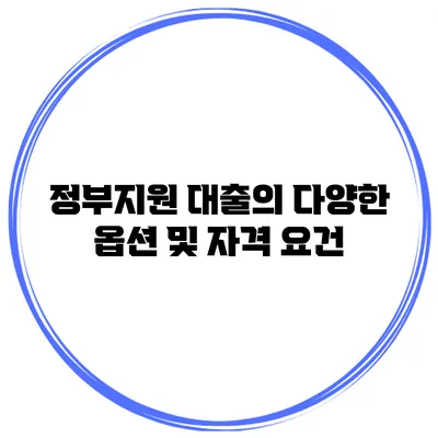 정부지원 대출의 다양한 옵션 및 자격 요건