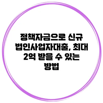 정책자금으로 신규 법인사업자대출, 최대 2억 받을 수 있는 방법