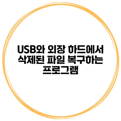 USB와 외장 하드에서 삭제된 파일 복구하는 프로그램