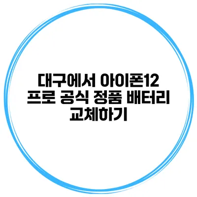 대구에서 아이폰12 프로 공식 정품 배터리 교체하기