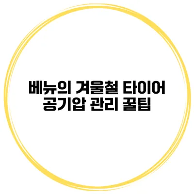 베뉴의 겨울철 타이어 공기압 관리 꿀팁