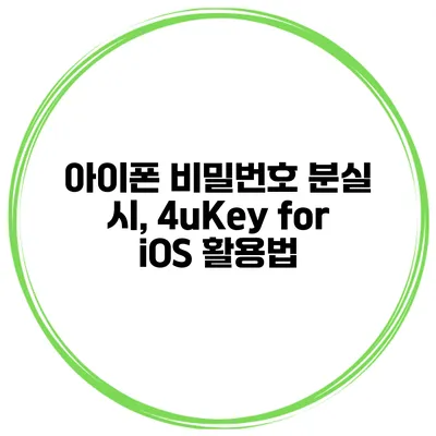 아이폰 비밀번호 분실 시, 4uKey for iOS 활용법