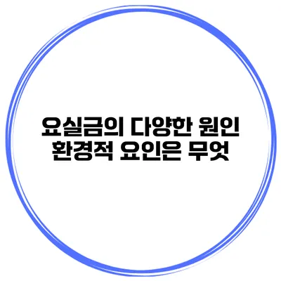 요실금의 다양한 원인 환경적 요인은 무엇?